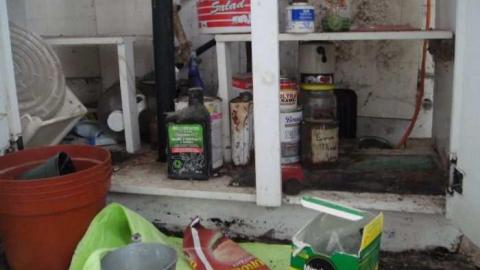 Delightful And Revolting - Delightful-And-Revolting34.jpg