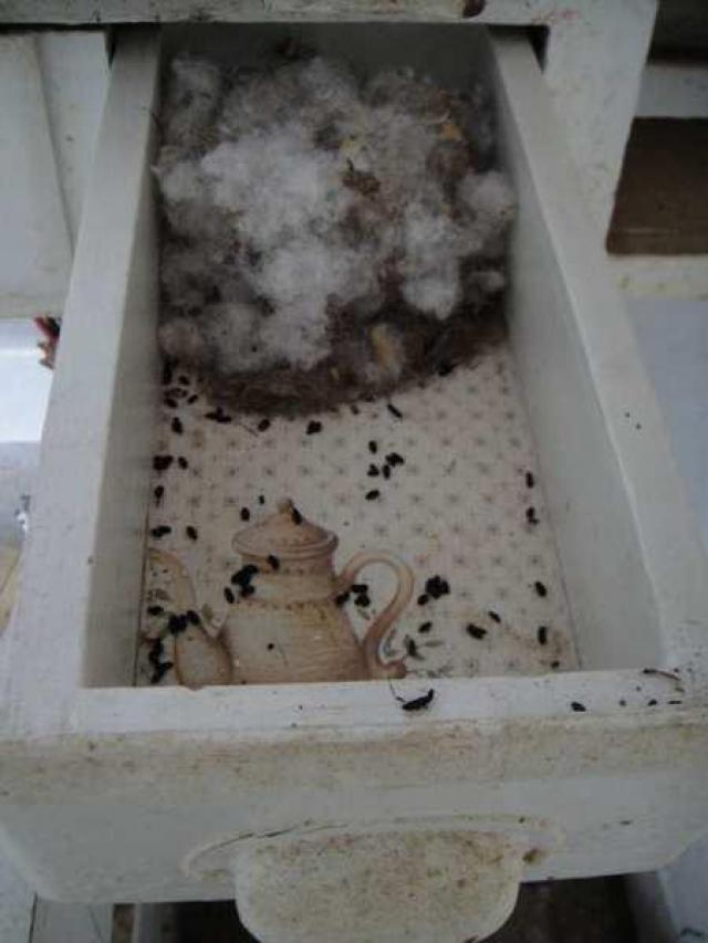 Delightful And Revolting photo 5