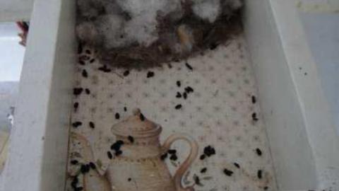 Delightful And Revolting - Delightful-And-Revolting46.jpg