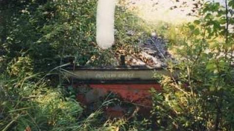 Coldwell remains - Port-Coldwell-(ghost-town)20.jpg