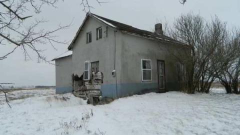 Small Log House photo 4