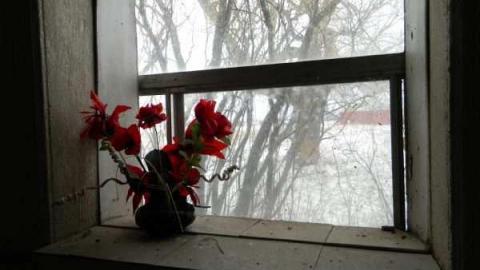 Small Log House - DSCN0906.jpg