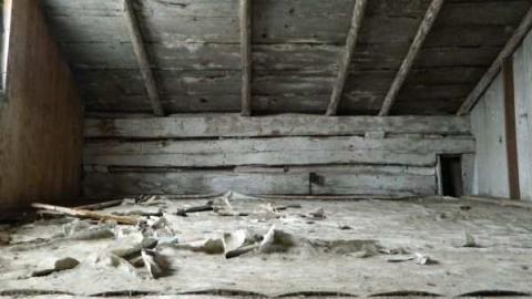 Small Log House - DSCN0917.jpg