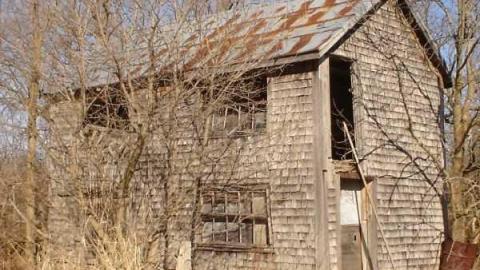 Gallery - Bruce Grey Line-017877-5.jpg