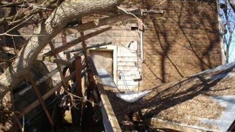 Gallery - Bruce Grey Line-017877-8.jpg