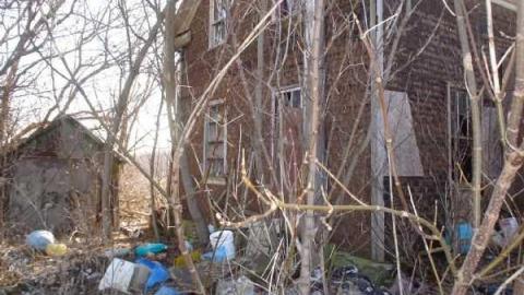 Gallery - Bruce Grey Line-017877-9.jpg