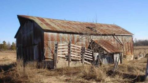 Best Little Hoar-der House photo 3