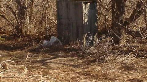 Best Little Hoar-der House photo 5