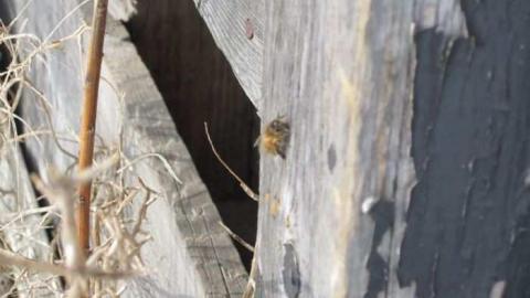 Canal House - 031.jpg