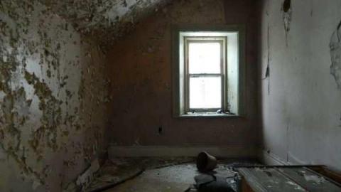 Beautiful Stone House photo 5