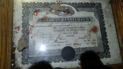 Pretty Stone House - Beautiful-Stone-House68.jpg