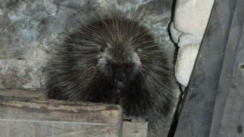 Pretty Stone House - Beautiful-Stone-House71.jpg