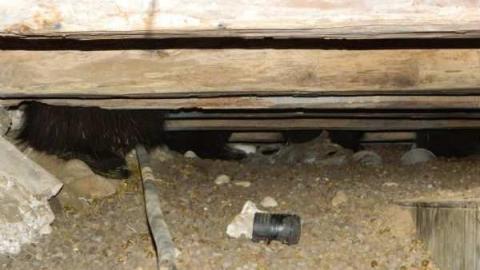 Pretty Stone House - Beautiful-Stone-House73.jpg