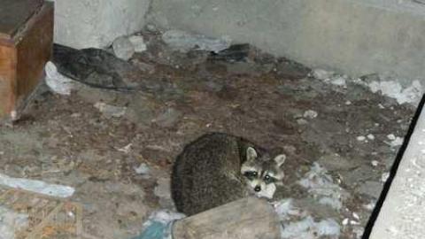 Pretty Stone House - Beautiful-Stone-House74.jpg