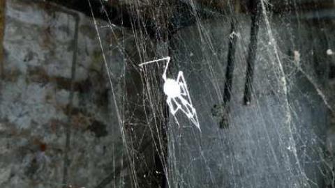 What Happened Here? - Fergus-Farmhouse-At-The-Gates64.jpg