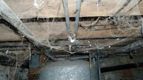 What Happened Here? - Fergus-Farmhouse-At-The-Gates65.jpg