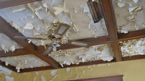 Jan. 6 2013 - DSC_0464.jpg