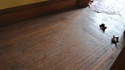 Photo from Jan. 6 2013