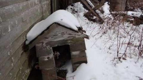 Destiny Delivered on Dundas - Mess-on-Dundas63.jpg