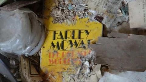 Destiny Delivered on Dundas - Mess-on-Dundas53.jpg