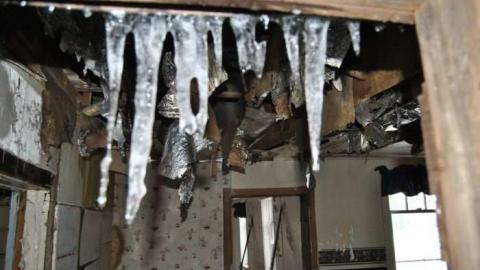 Jan. 6 2013 - DSC_0517.jpg