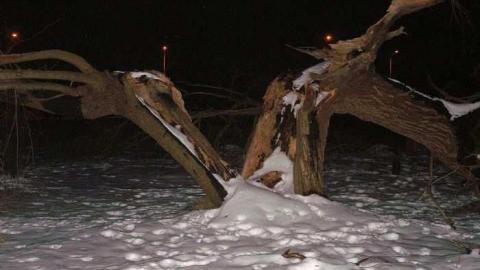 Palermo Blacksmith - 074-001.jpg