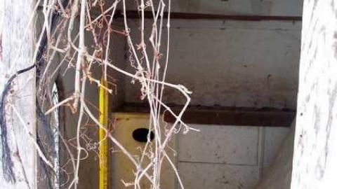 Is that a Ranch? - Ponderosa-Ranch20.jpg