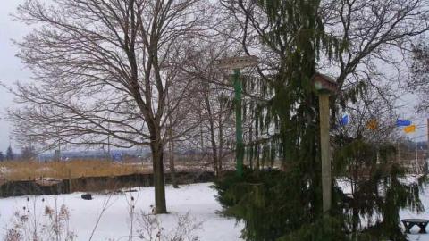 Is that a Ranch? - Ponderosa-Ranch22.jpg