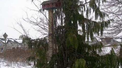 Is that a Ranch? - Ponderosa-Ranch24.jpg