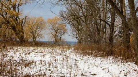 January 5, 2013 - Wet-And-Wild-Waterpark223.jpg