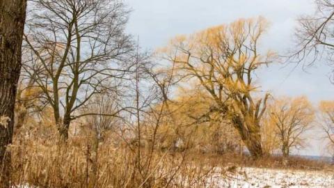 January 5, 2013 - Wet-And-Wild-Waterpark228.jpg