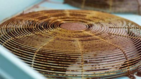 Photo from November 14, 2010