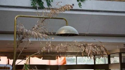 July 17, 2011 - Regal-Constellation46.jpg