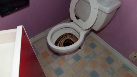 November 5, 2009 - Honeydale-Mall14.jpg