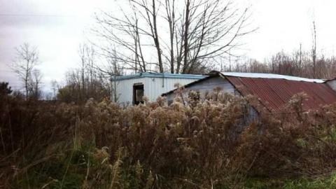 Deepest Darkest Shanty Bay - Deepest-Darkest38.jpg