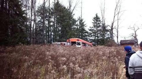 Deepest Darkest Shanty Bay - Deepest-Darkest39.jpg