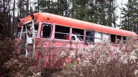 Deepest Darkest Shanty Bay - Deepest-Darkest40.jpg