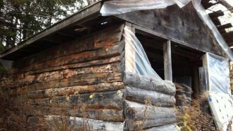 Deepest Darkest photo 3