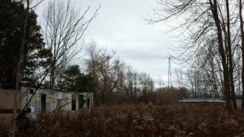 Deepest Darkest - Oro-Medonte, Ontario