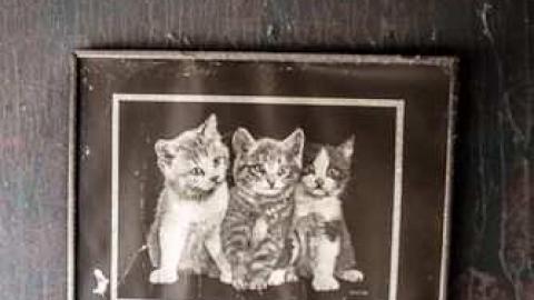 January 2013 - 3-X-27--81126.jpg