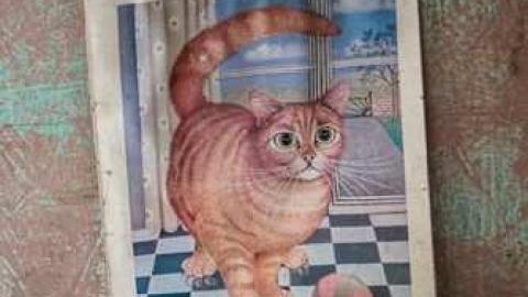 January 2013 - 3-X-27--81146.jpg