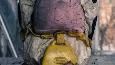 January 2013 - 3-X-27--81127.jpg