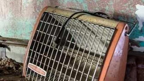 January 2013 - 3-X-27--81131.jpg