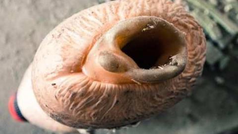 January 2013 - 3-X-27--81153.jpg