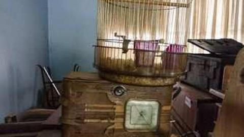 October 2012 - untitled (1 of 1)-23.jpg