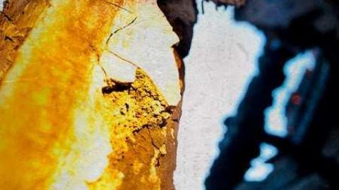 Winter 2010 - postapocalyptic.jpg