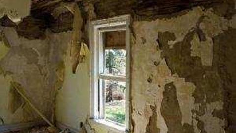 Jeremiah's Field photo 2