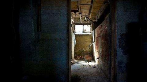 Gallery - Jeremiahs-Field65.jpg