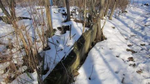 Coyle Roadhouse photo 5