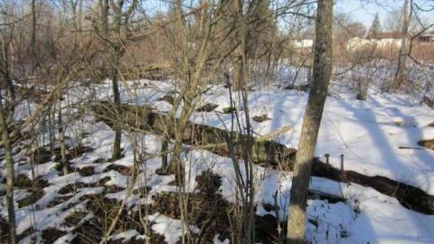 Coyle Roadhouse - Coyle-Roadhouse2.jpg